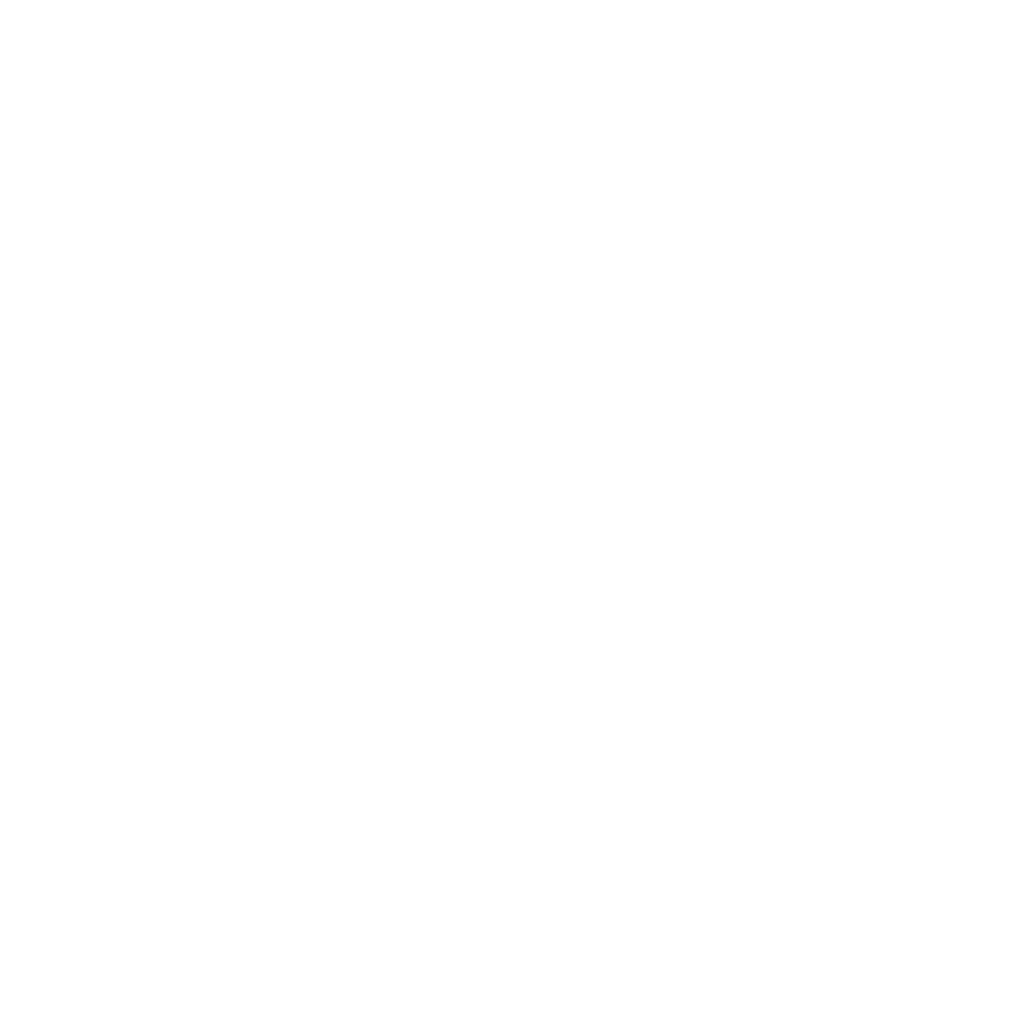 +NR Logo Modern White